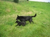 Doetje 9 wkn